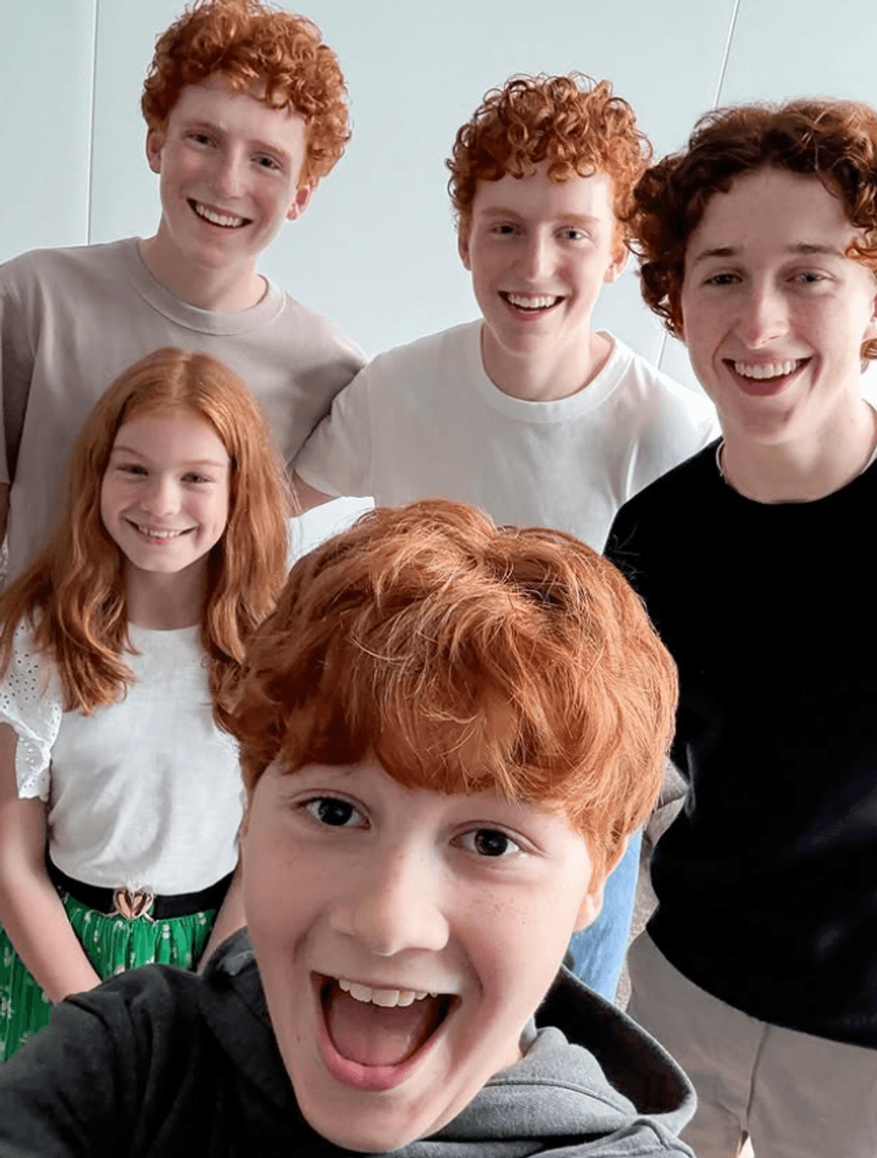 The Weasley family