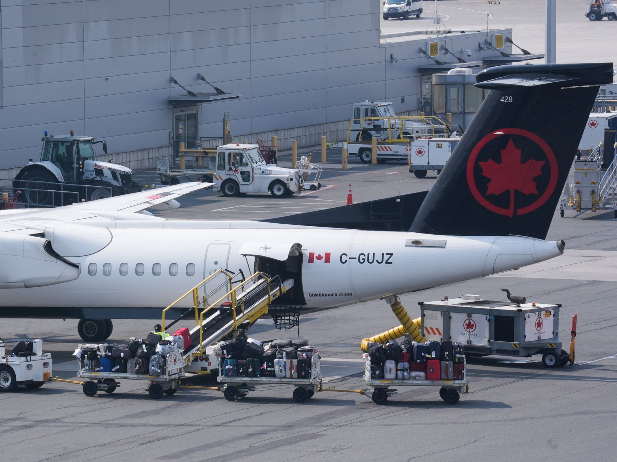 'We could hear him begging for help!' Passenger jet heads towards runway with baggage handler TRA...
