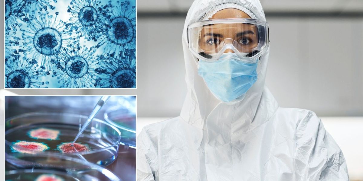 NextImg:WHO tests pandemic response across 15 countries with simulated Arctic 'mammothpox' outbreak as ICUs struggle to cope