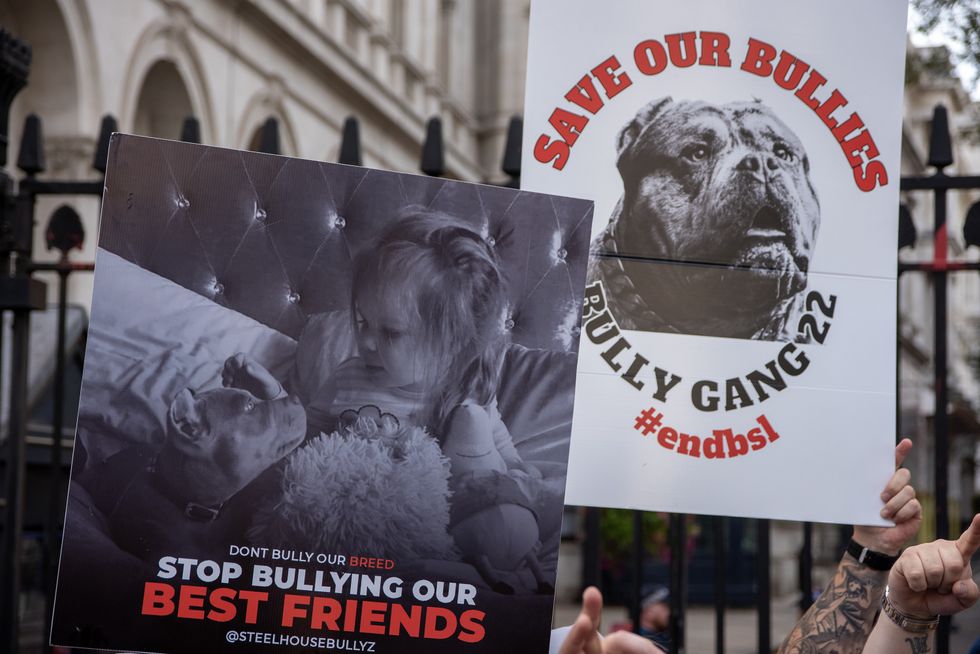 The XL Bully ban has proved controversial\u200b