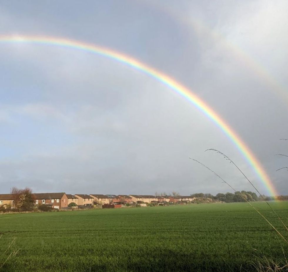 Theo Burrell rainbow
