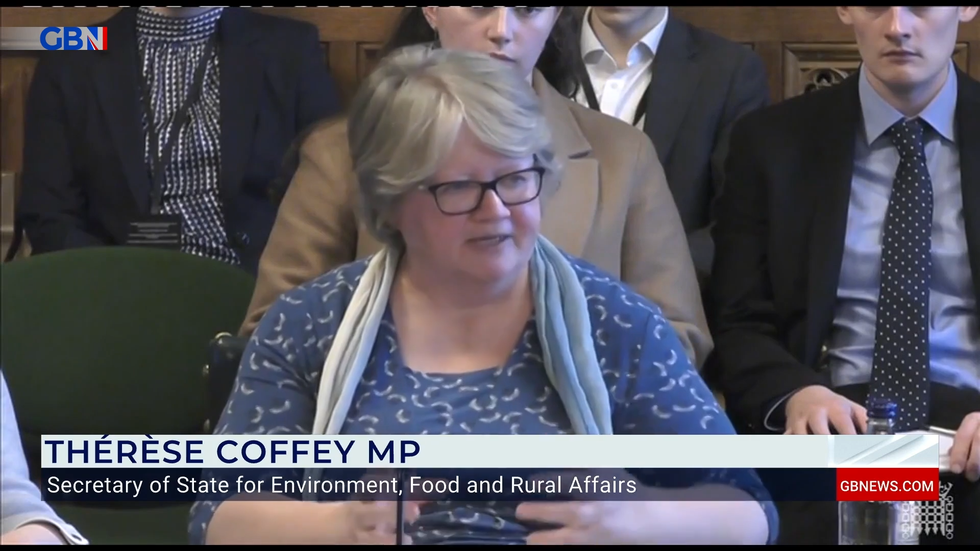 Therese Coffey speaks in Parliament