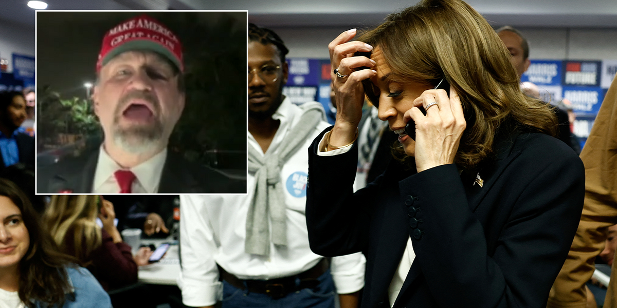 NextImg:US election: Sebastian Gorka demands right to vote is STRIPPED from Americans ‘turned off’ by US election vitriol - 'They're children!'