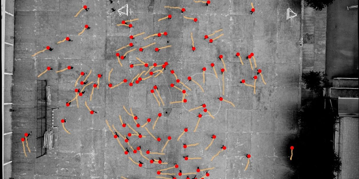 Scientists puzzled as to why humans have strong 'anticlockwise bias'