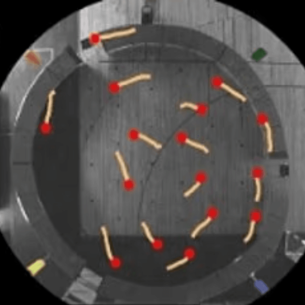 This annotated image shows a schoolground in Spain and the motions of teenage participants as indicated by the dots and lines