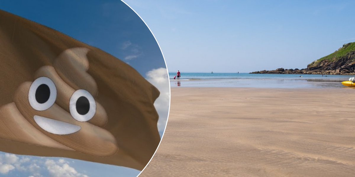 NextImg:'Brown flag dirtiest beach in UK' sees visitors fined £100 by 'Big Brother'
