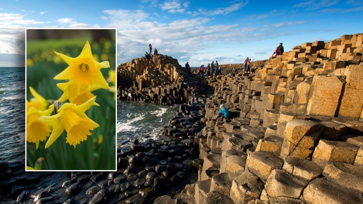 Do you know where the Giant's Causeway is? Test your knowledge and play the Great British Quiz of the Week HERE