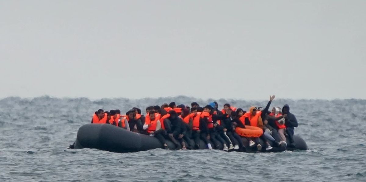 NextImg:'Many illegal immigrants just disappear back into the economy' - Mark White