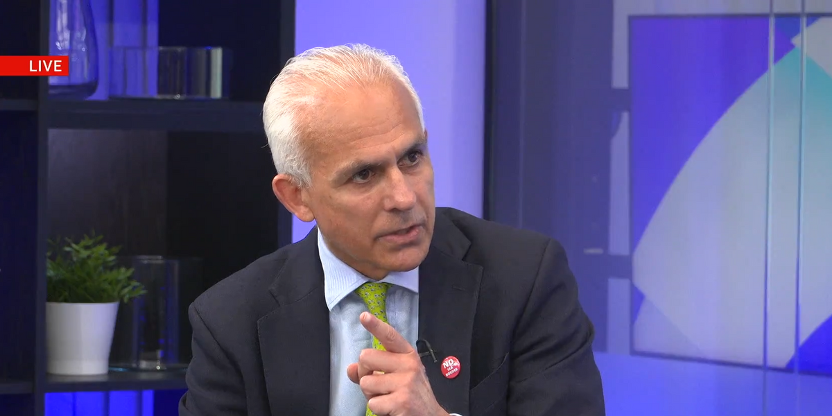 NextImg:Ben Habib rages over Rwanda saga twist: ‘Deliberately DESTROYING this country!’