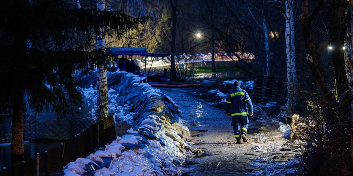 NextImg:German state cuts benefits for migrants who refused to help in the 'common good' and clear flooding debris