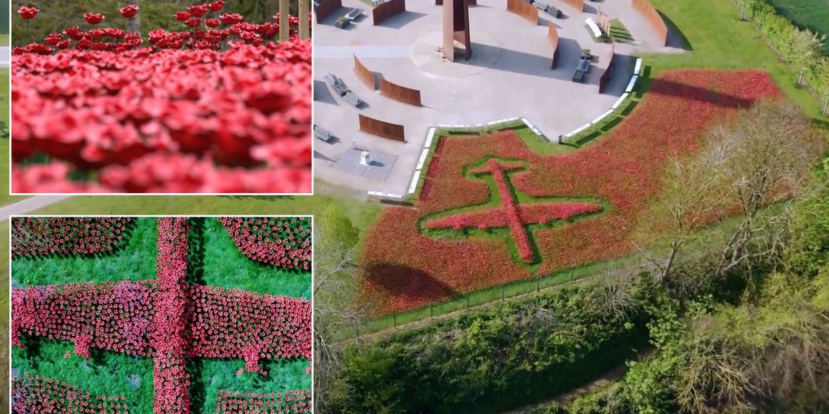 NextImg:Stunning poppy display to mark VE day evokes 'very emotional' response - 'Amazing!'