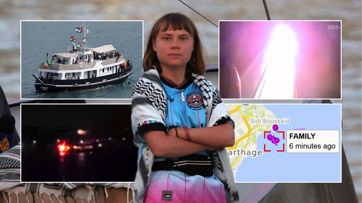 Thunberg collage