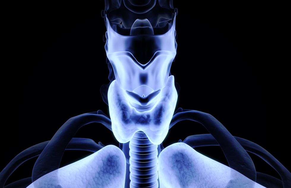 thyroid illustration