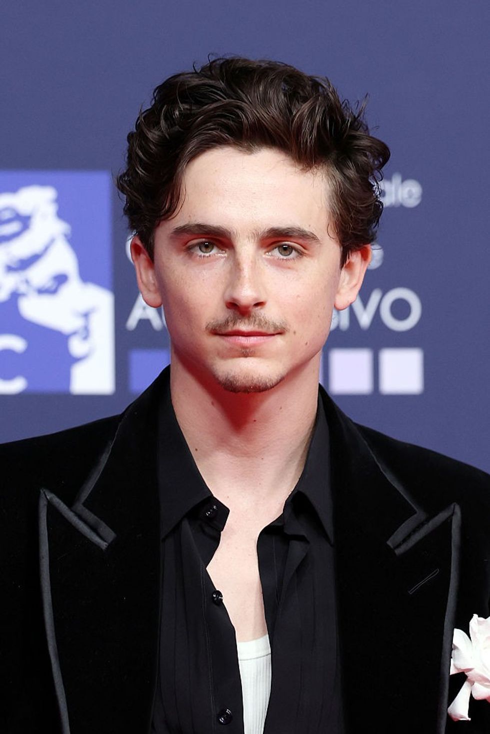 Timoth\u00e9e Chalamet attends the red carpet during the 70th David Di Donatello at Cinecitta Studios, Italy