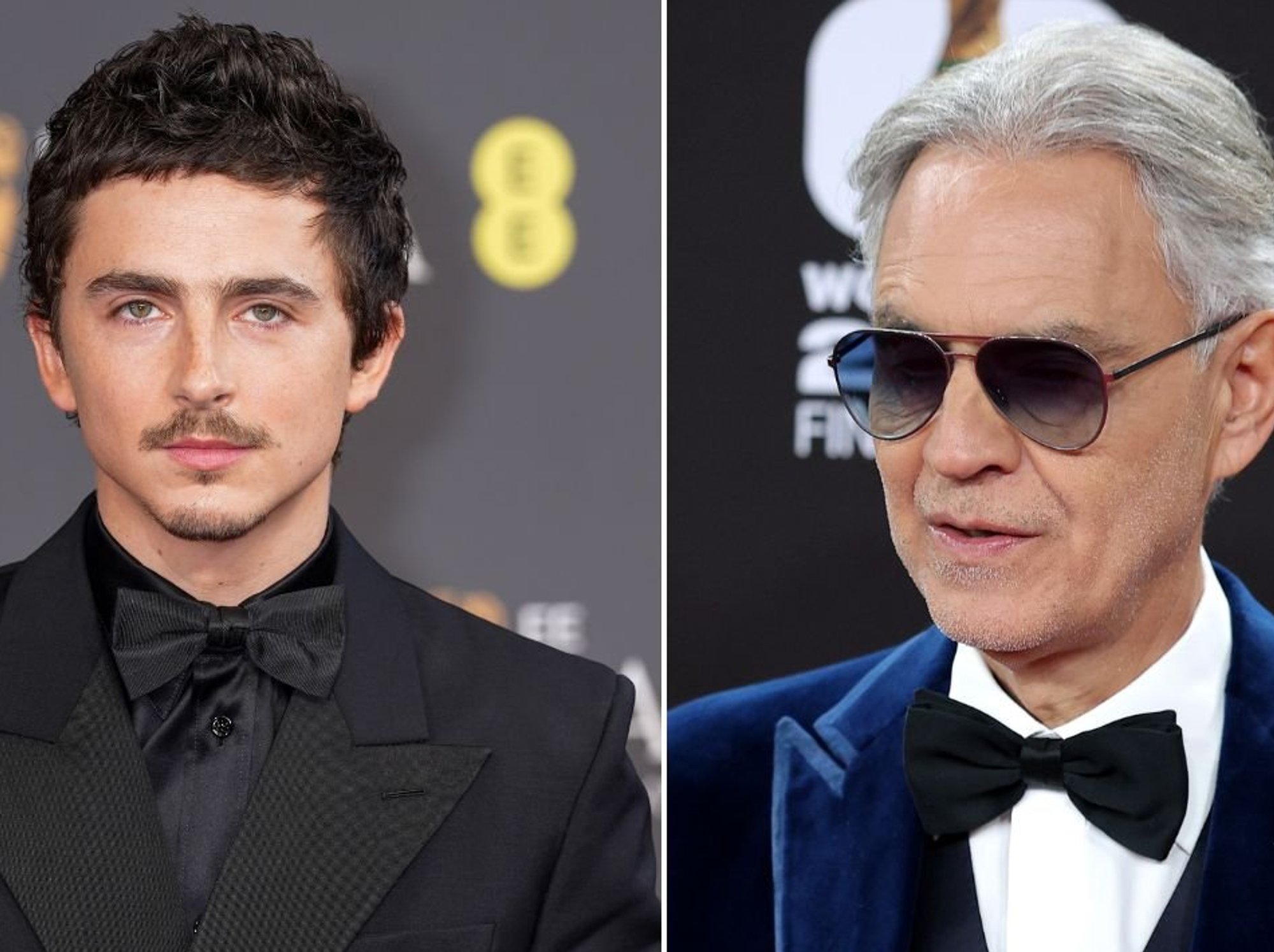 Timothee Chalamet and Andrea Bocelli