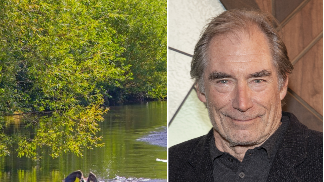 Timothy Dalton Chiswick