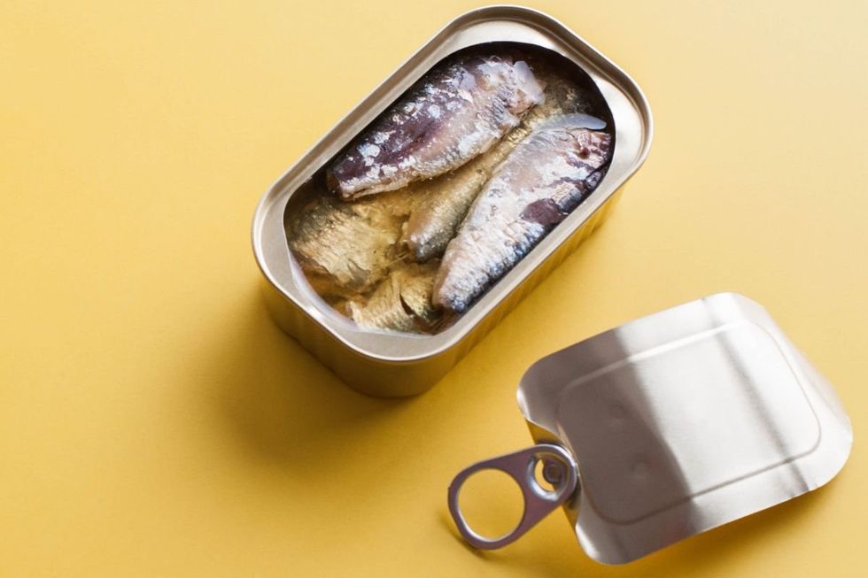 Tin of sardines