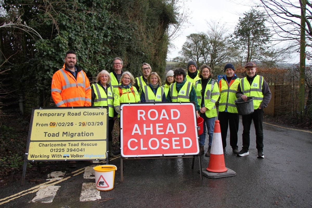 Toad Rescue Charlcombe, Bath volunteers