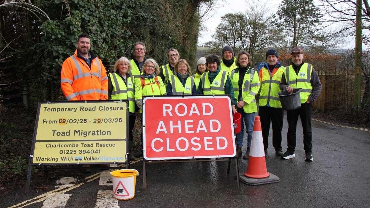 Toad Rescue Charlcombe, Bath volunteers