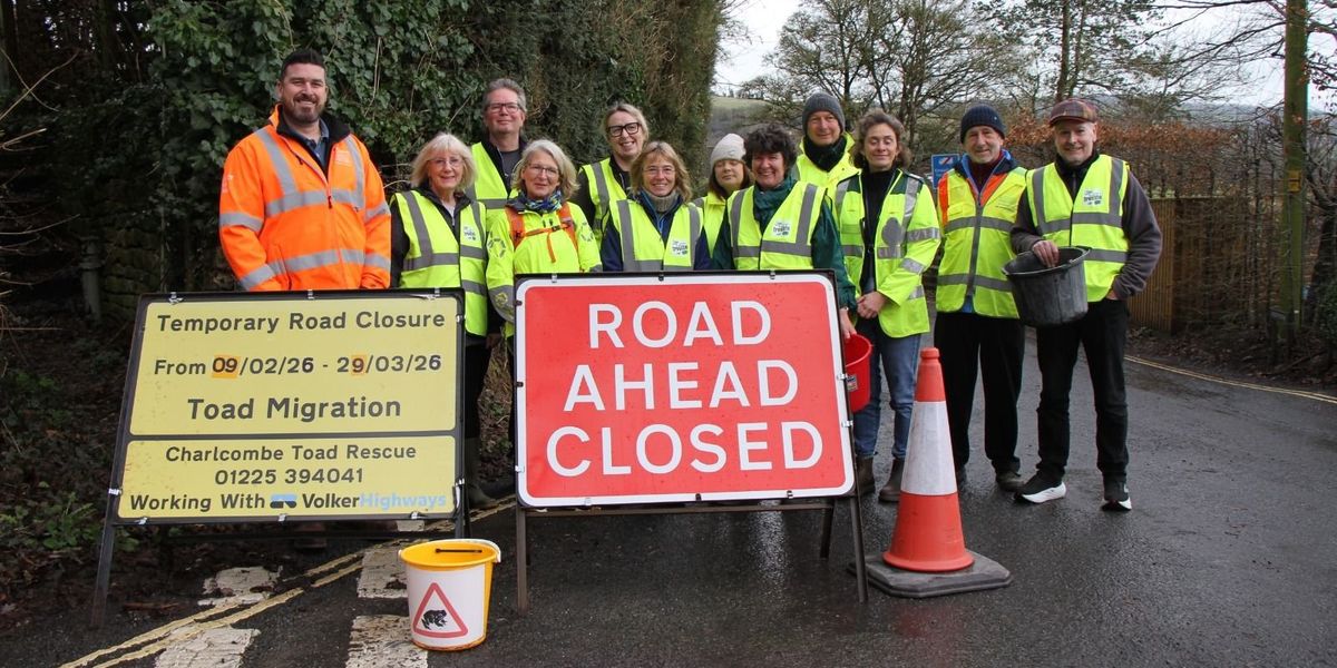 Council close road for 6 WEEKS to allow for major toad migration Council close road for 6 WEEKS to allow for major toad migration