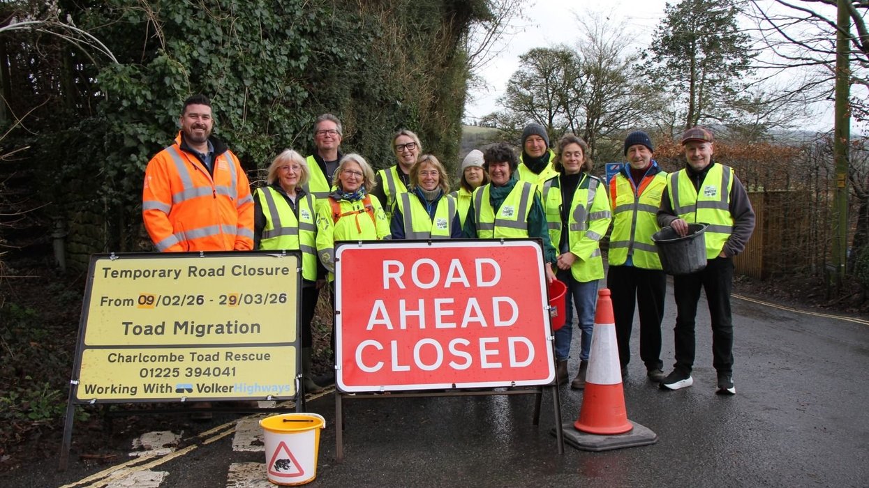 Toad Rescue Charlcombe, Bath volunteers