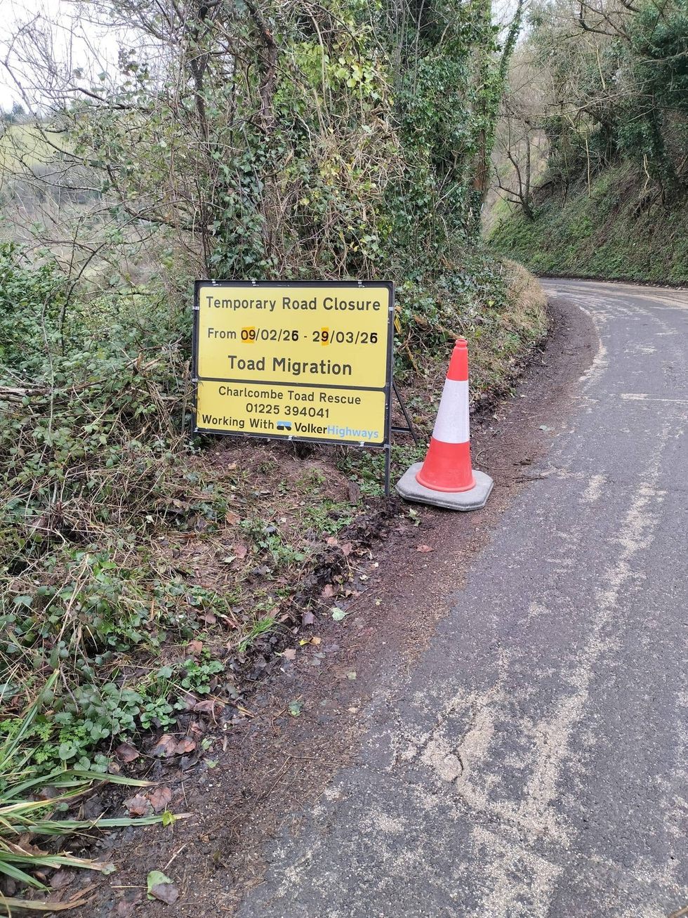 Toad road closure sign