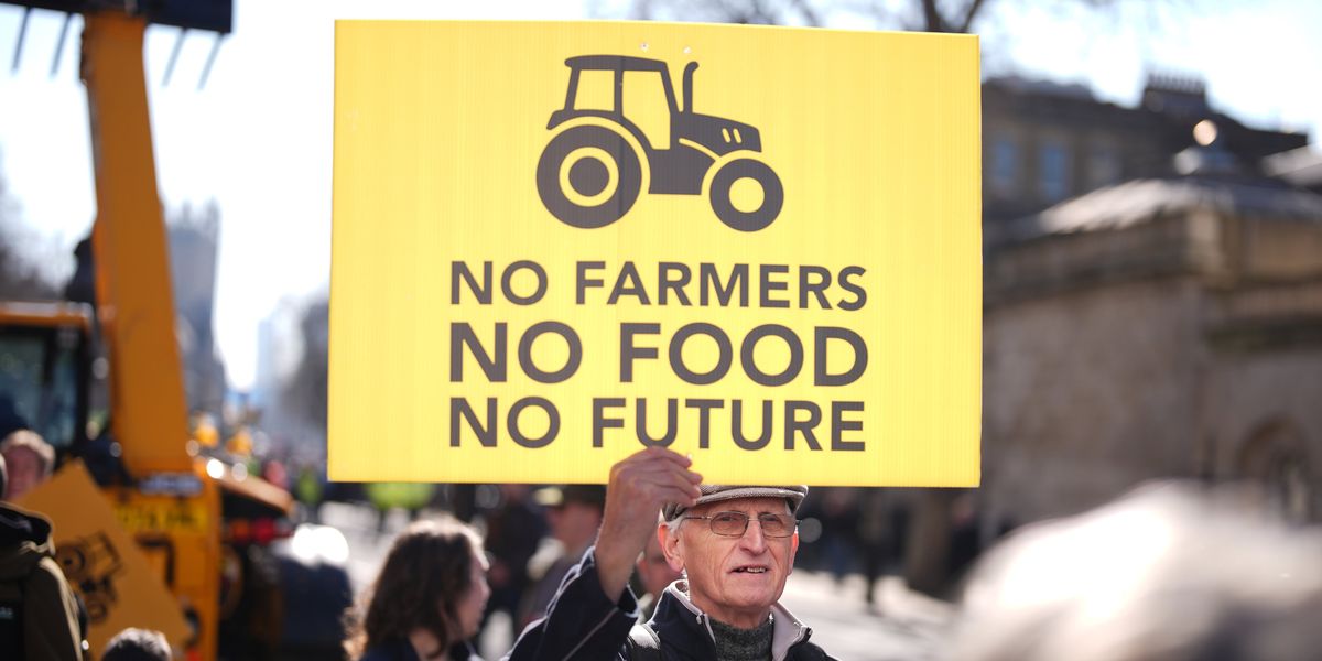 Farming sector ‘frightened of what might lie ahead’ over inheritance tax, Labour review finds Farming sector ‘frightened of what might lie ahead’ over inheritance tax, Labour review finds