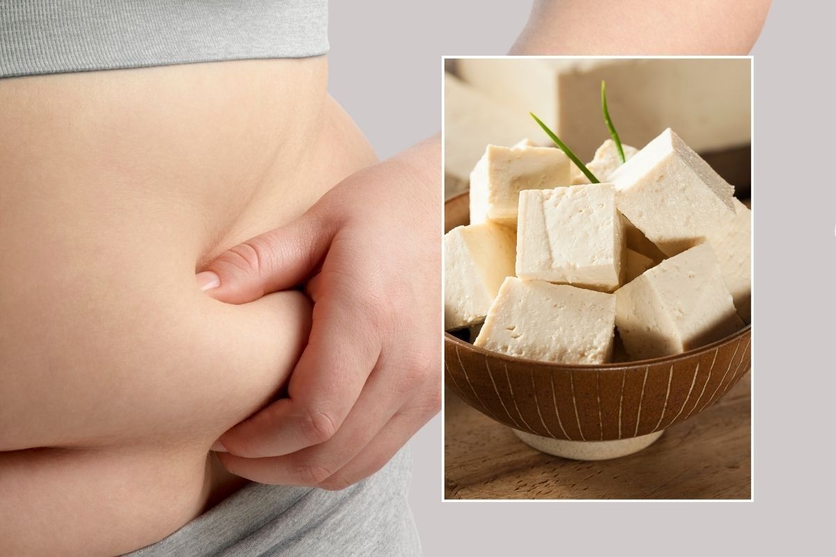 tofu and belly fat