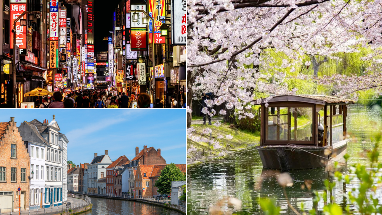 Tokyo / Kyoto, Japan in cherry blossom season / Bruges Belgium