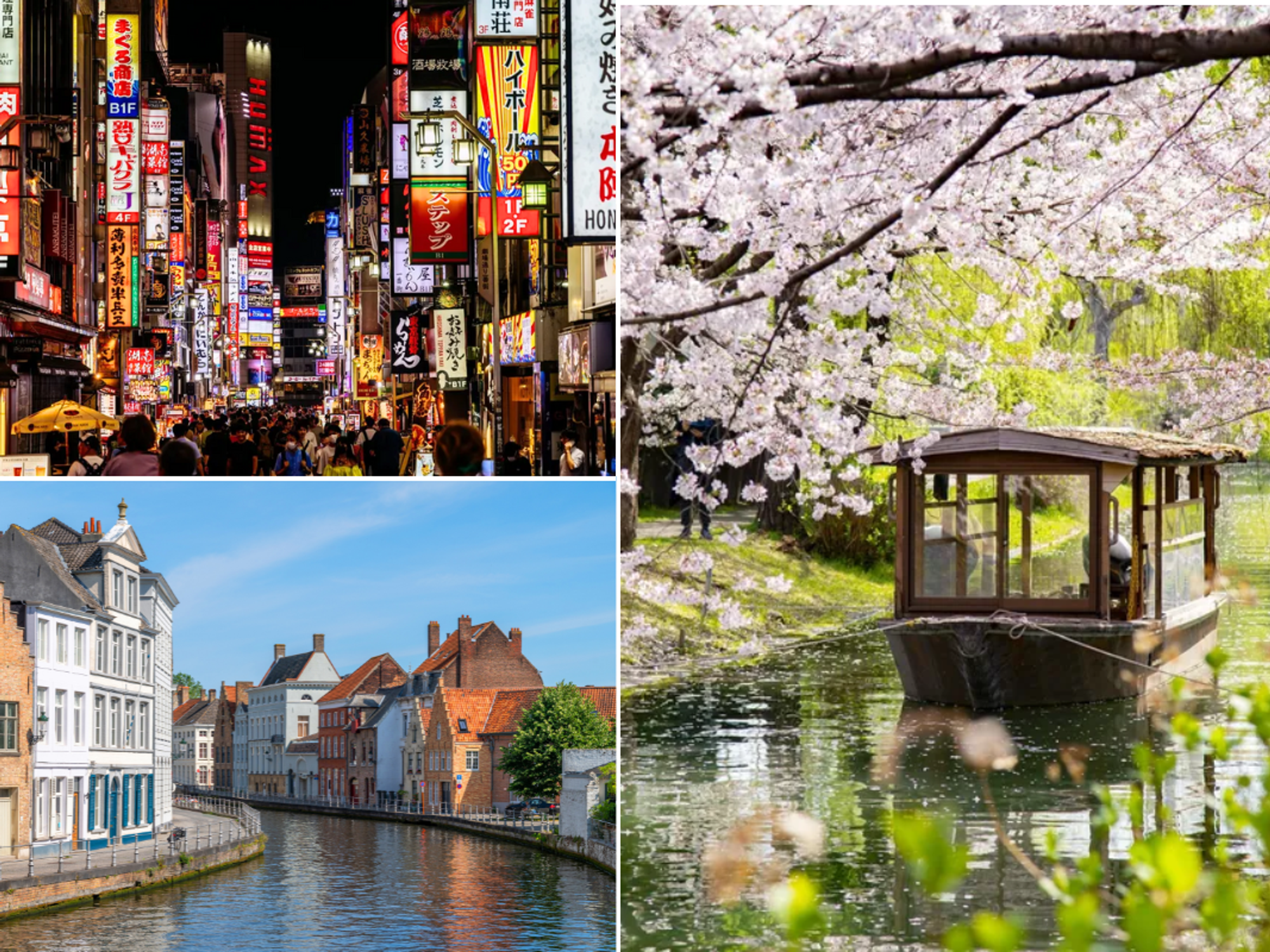 Tokyo / Kyoto, Japan in cherry blossom season / Bruges Belgium