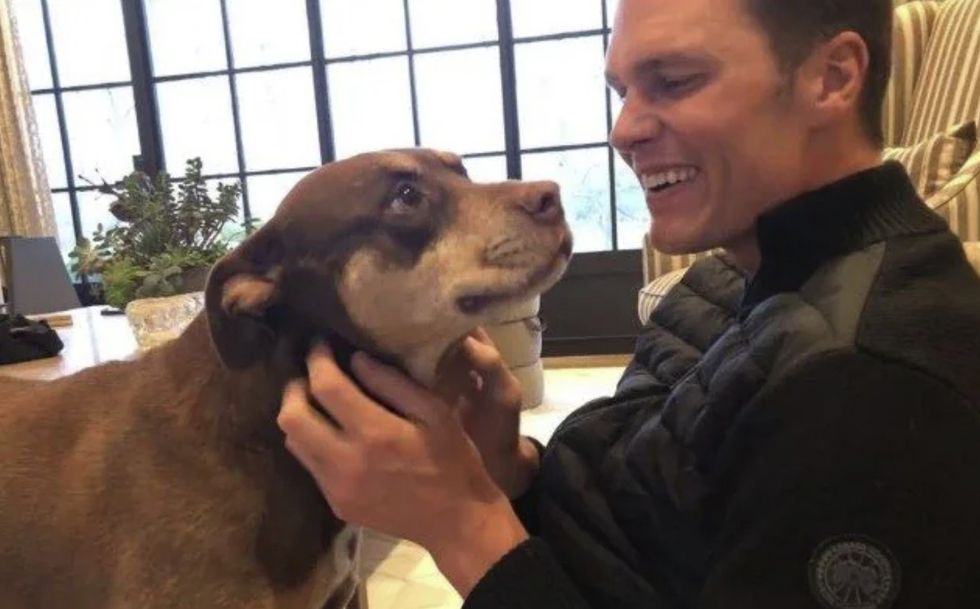 Tom Brady revealed he has cloned his dog