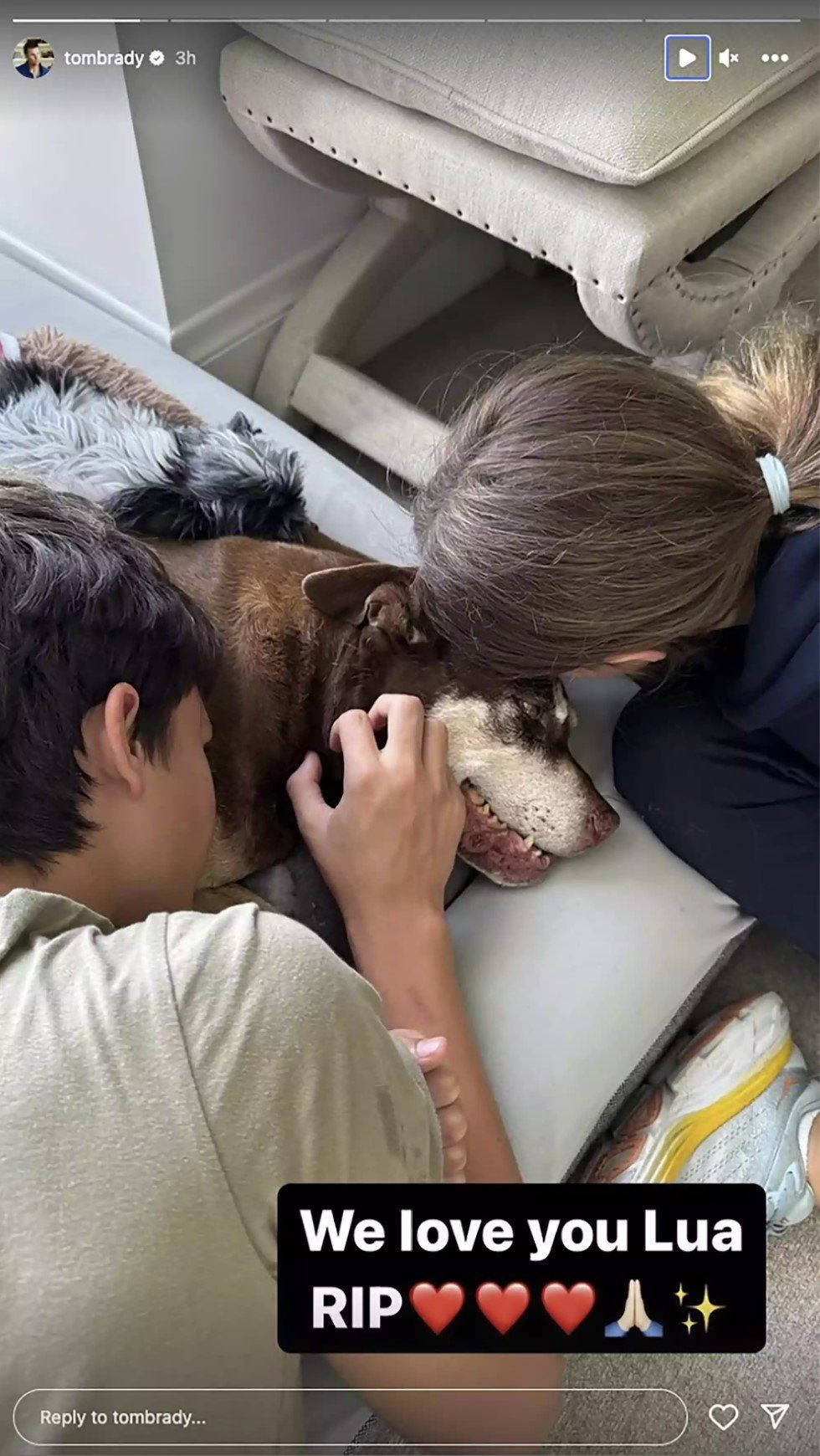 Tom Brady's dog Lua died in 2023