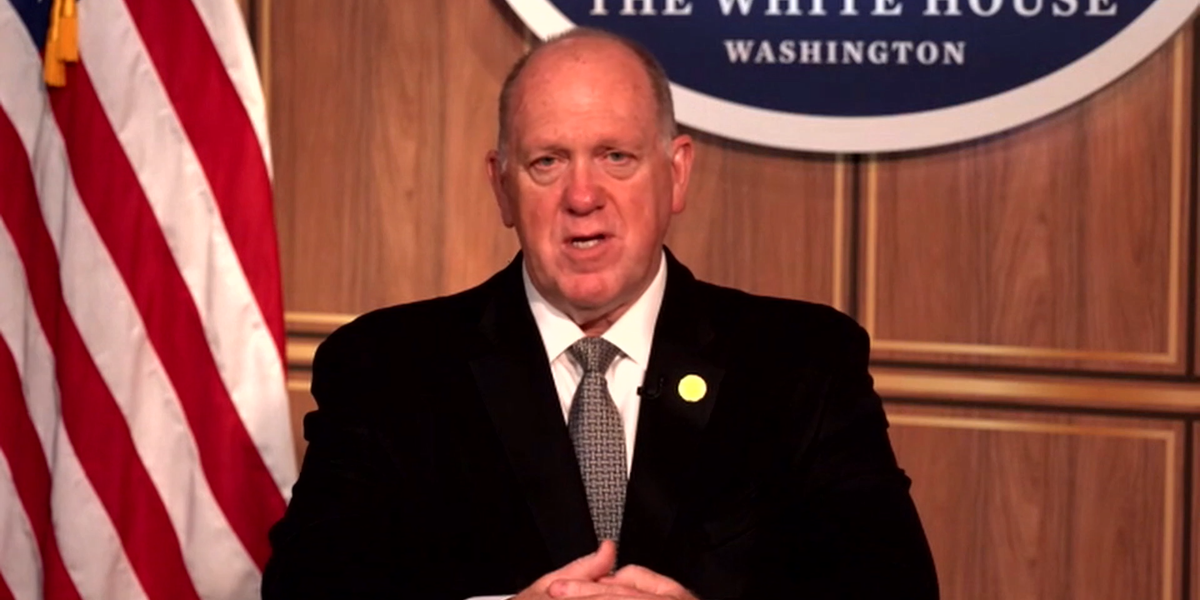 NextImg:Donald Trump's border czar warns of further 'bloodshed' after Texas Ice shooting sparked by 'hateful rhetoric'
