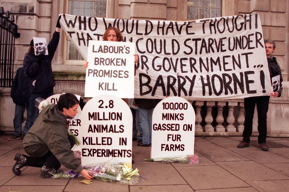 Toni Vernelli in 2001