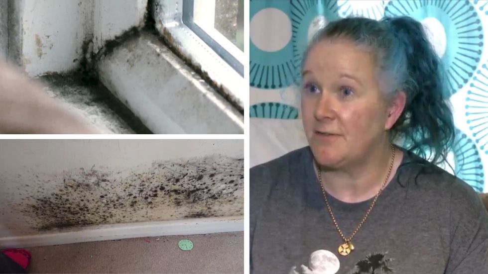 Tonya Cutler and images of mould and damp in pictures