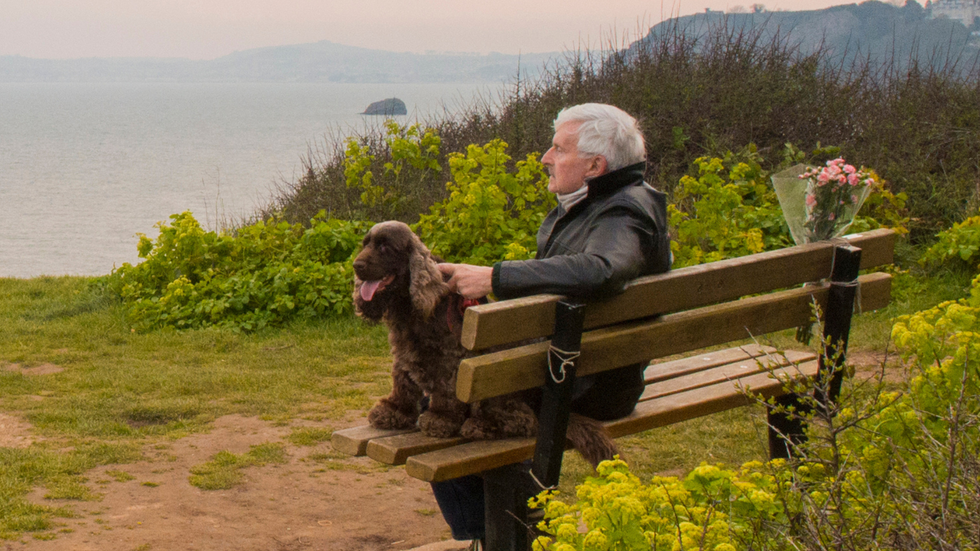 Torbay bench