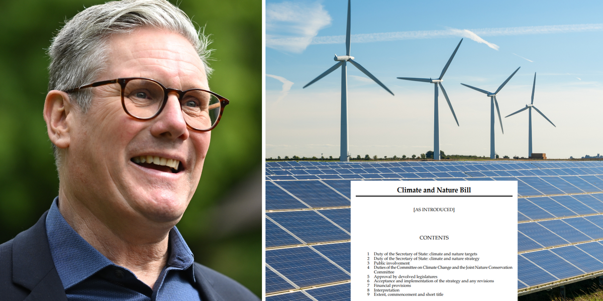 NextImg:REVEALED: The scandalous climate bill that will give Labour UNCHALLENGED power to pursue net zero that's going under the radar
