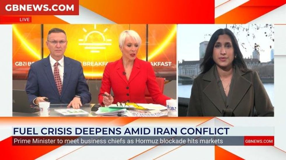 Green investors face 50% losses as solar panel backers hit by Net Zero backlash