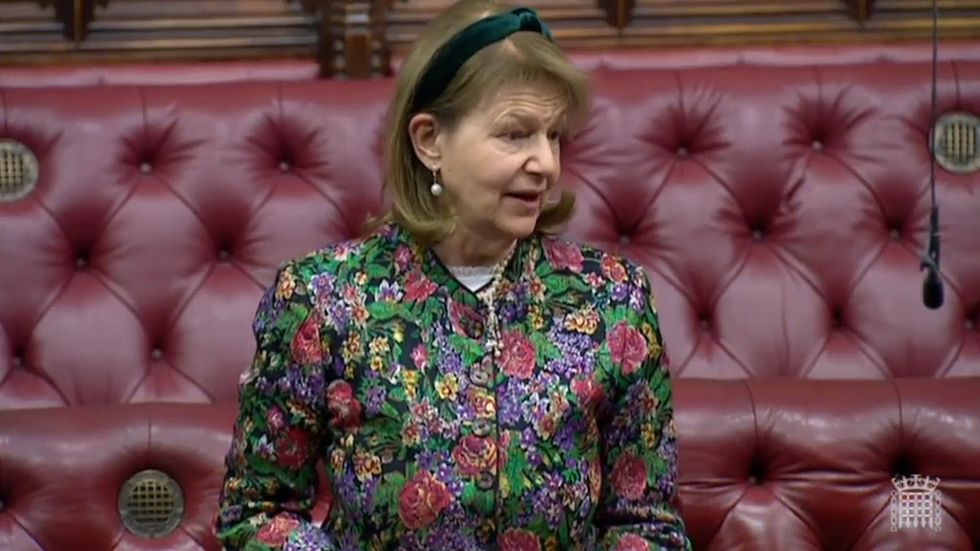 Tory peer Baroness Nicholson of Winterbourne argued the provision of single-sex wards, exempted from equality legislation, was being undermined by updated NHS guidance.