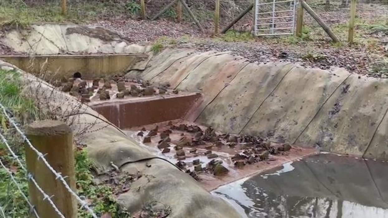 Children’s school uniforms included in ‘toxic chemical’ warning as MPs demand action