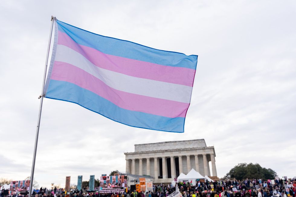 Bandeira trans em um protesto em Washington DC