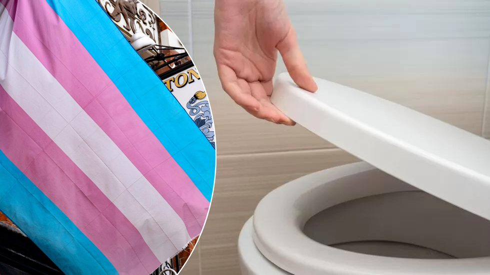 Trans flag/toilet