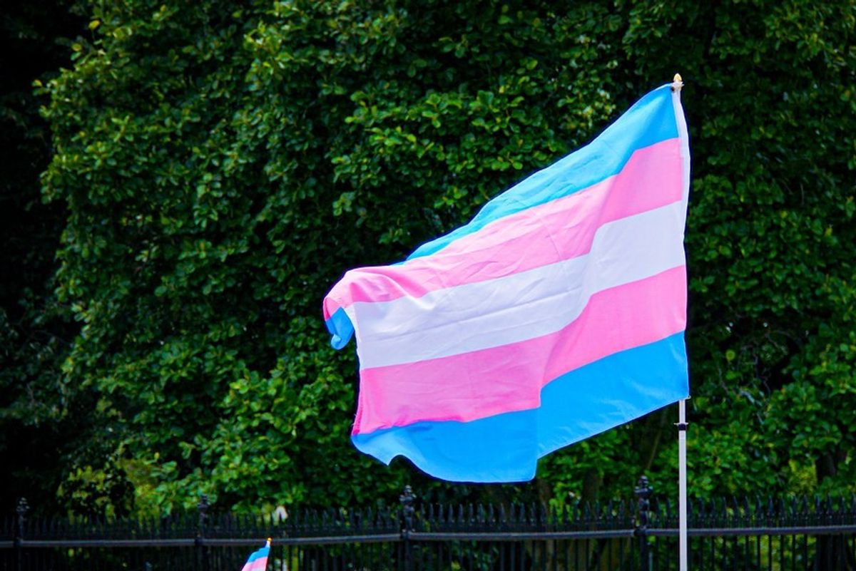 ​Trans flag