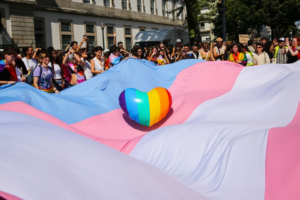 Trans flag