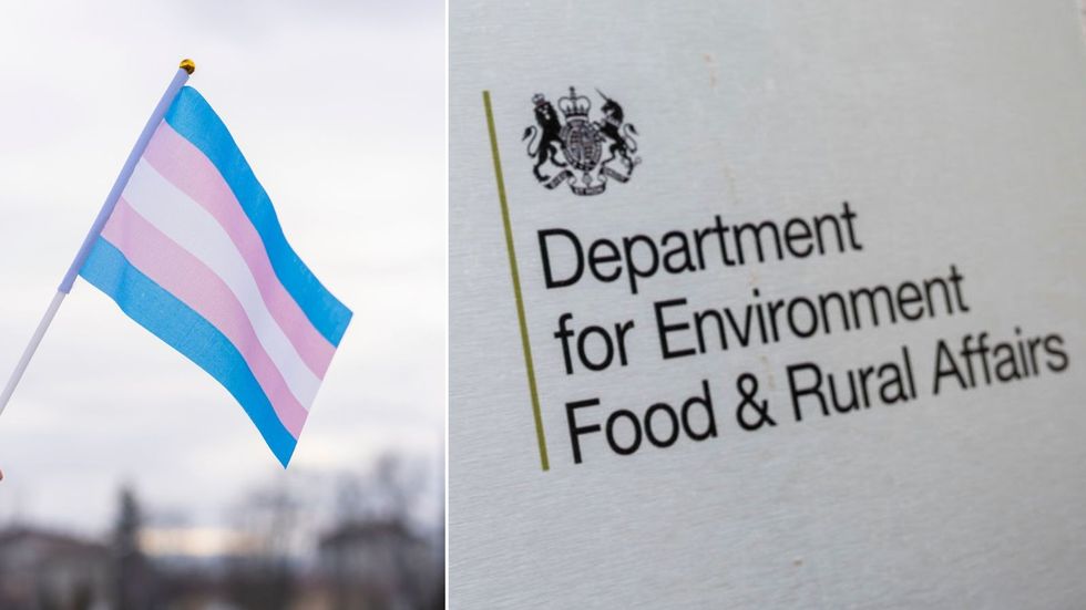 Trans flag