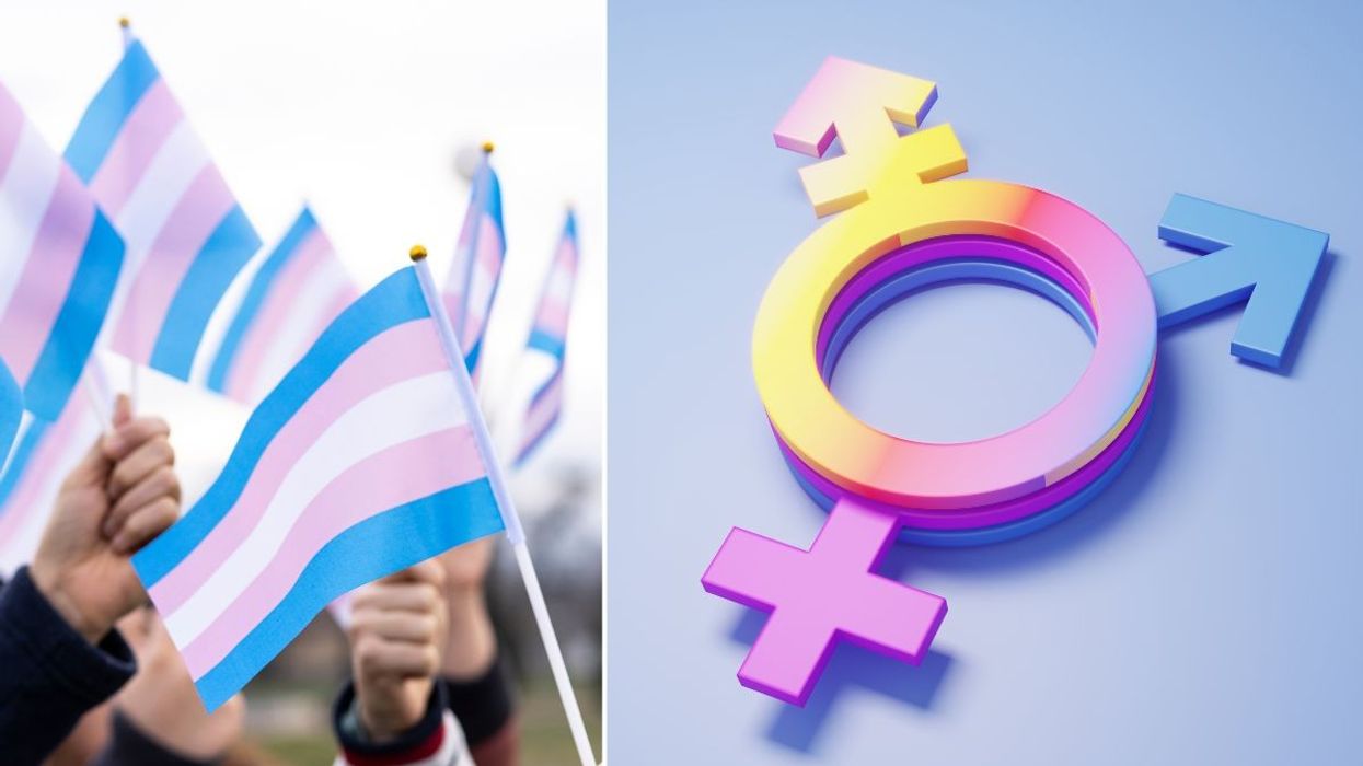 Trans flags and gender symbols