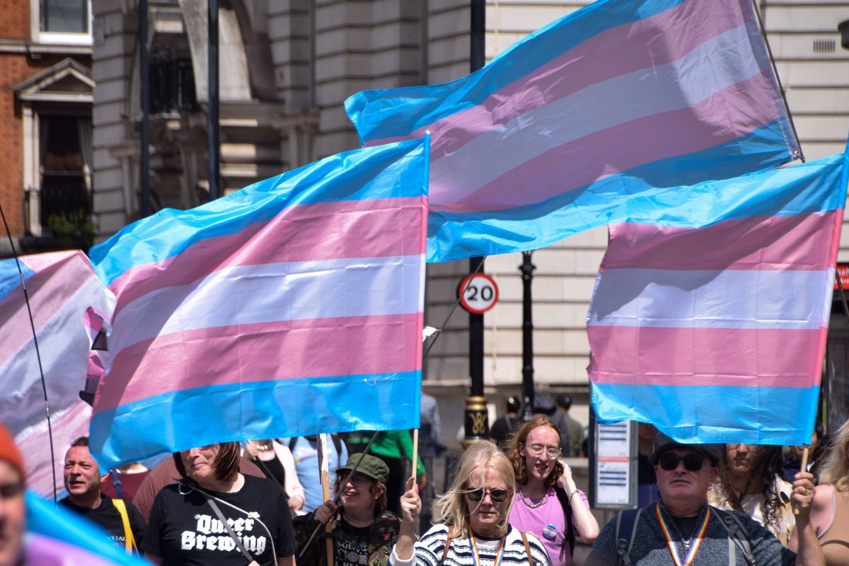Trans flags at a pro-trans march along Whitehall
