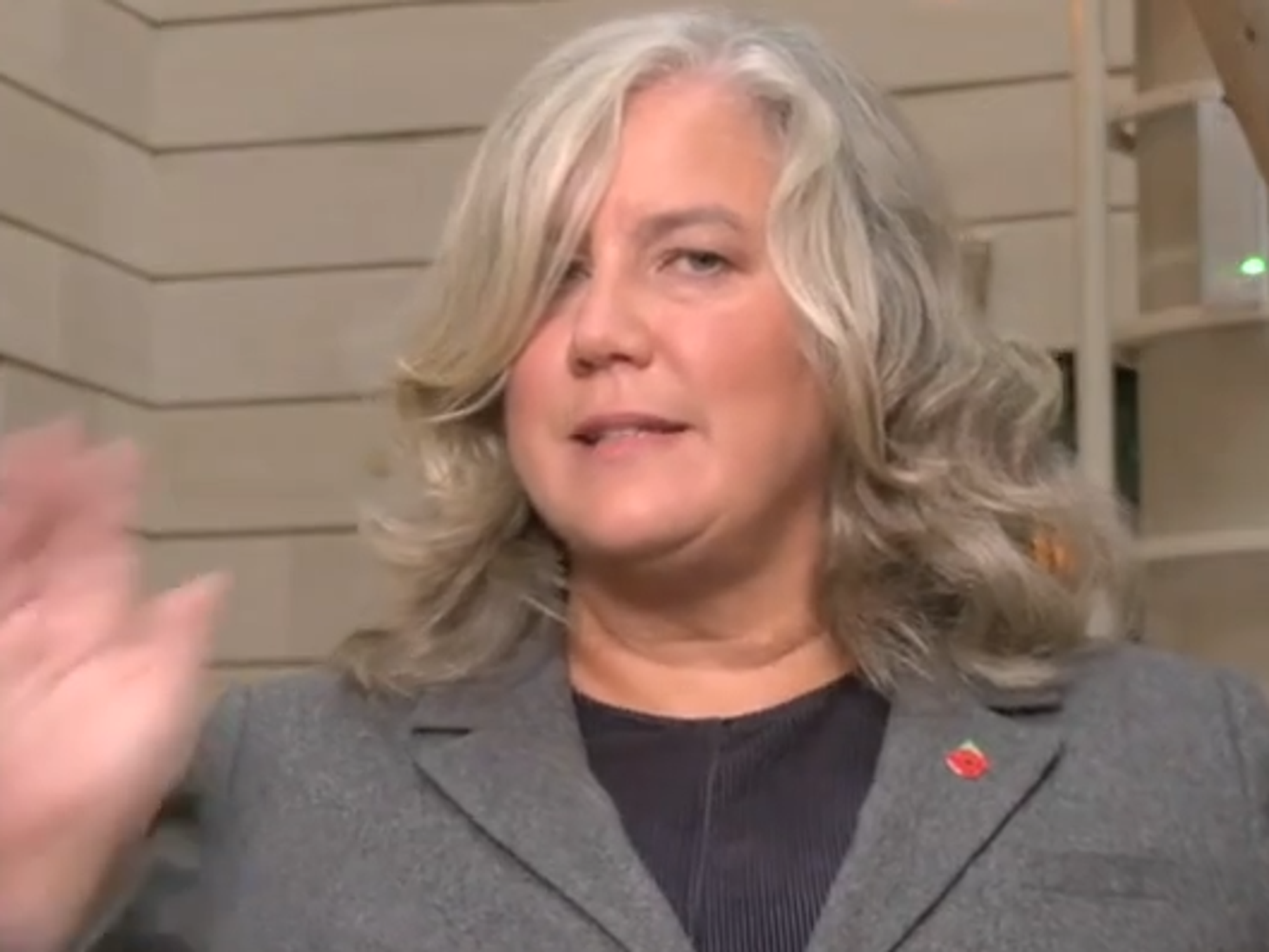 Transport Secretary Heidi Alexander