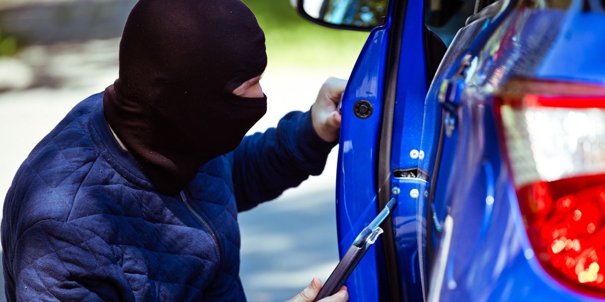 NextImg:Drivers warned of new signal 'jammers' used by criminals to steal vehicles and stay undetected