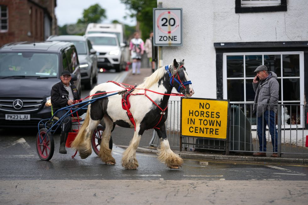 Traveller horses in Appleby for its horse fair